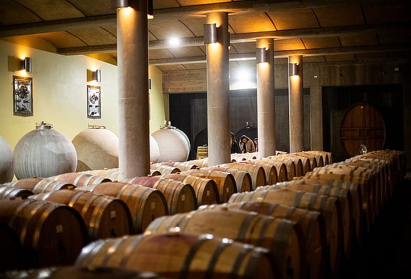 Degustacion Orzada en Viña Odfjell