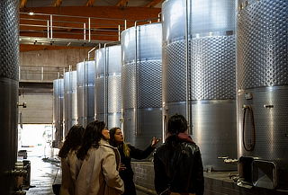 Tour Aliara en Viña Odfjell