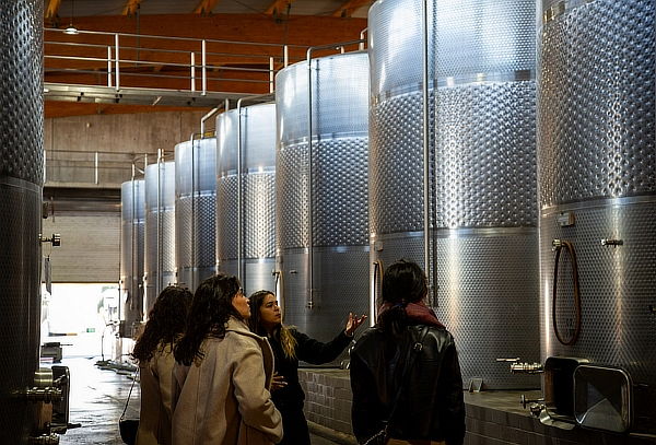 Tour Aliara en Viña Odfjell