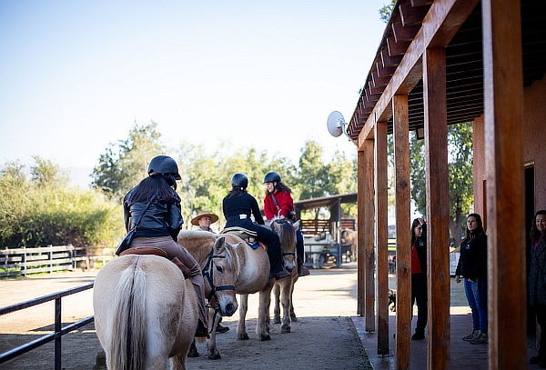 Horse Experience KIDS en Viña Odfjell