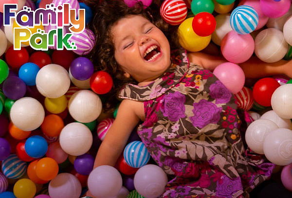 Family Park 2 Horas de juegos + Snack
