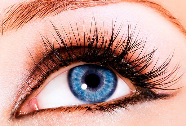 Lifting de pestañas más laminado de cejas + Vitamina