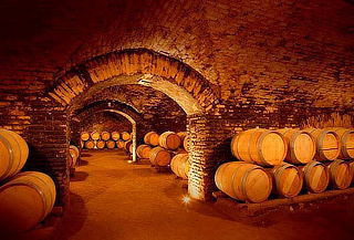 Visita Guiada o Experiencia Marques en Viña Concha y Toro