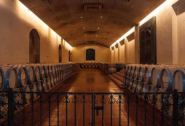 Visita Guiada o Experiencia Marques en Viña Concha y Toro