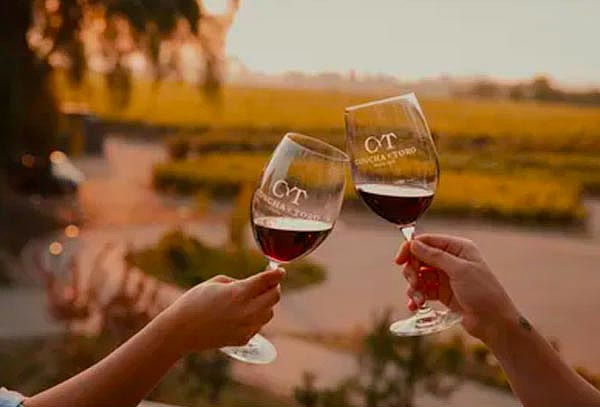 Diablo Wine Sunset en  Viña Concha y Toro 