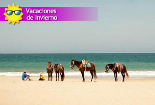 Vacaciones de Invierno en Máncora y Lima