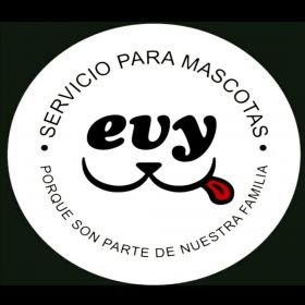 Imagen logotipo