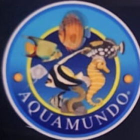 Imagen logotipo