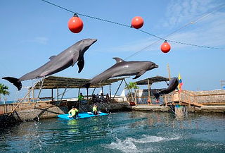 Tour Playa Blanca en Santa Marta,Opcional Almuerzo o Acuario