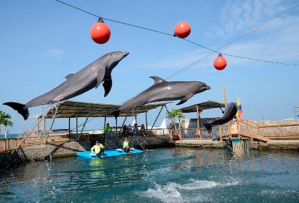 Tour Playa Blanca en Santa Marta,Opcional Almuerzo o Acuario