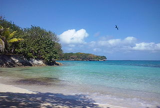 Islas del Rosario y Playa Banca Baru 