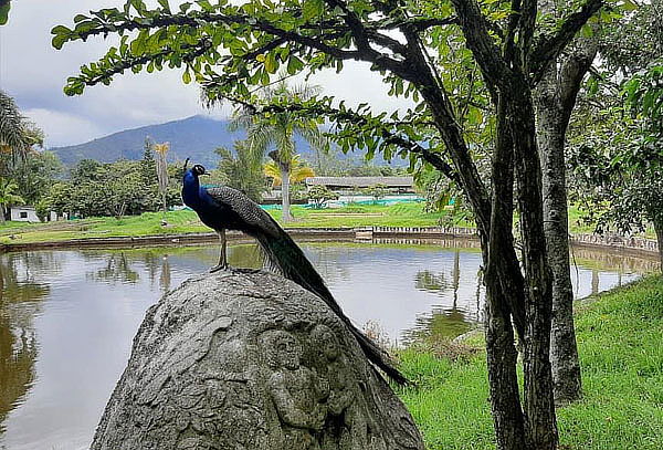 Pasaporte de Ingreso a Cutucumay en Chinauta