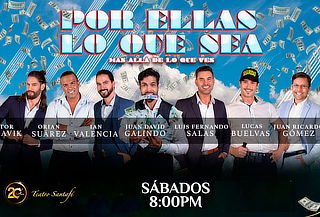 Entrada a "POR ELLAS LO QUE SEA" Teatro Santafé