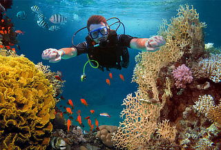 San Andrés: Mini Curso de Buceo + Inmersión + Traslados  