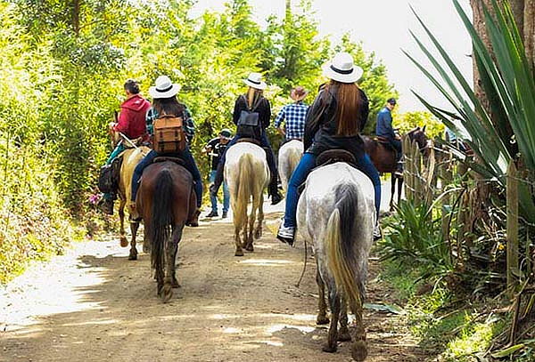 2 Horas de Cabalgata con Guia y Seguro en Rionegro Antioquia