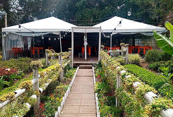 Santa Elena Tour de las Flores + Actividades + Almuerzo 