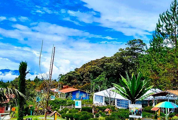 Santa Elena Tour de las Flores + Actividades + Almuerzo 