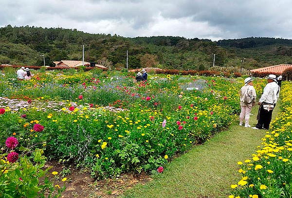 Santa Elena Tour de las Flores + Actividades + Almuerzo 