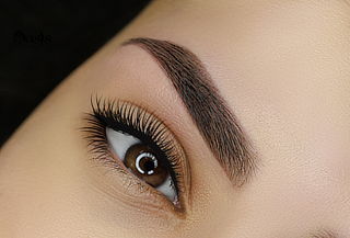 Micropigmentación De Cejas Efecto Polvo 