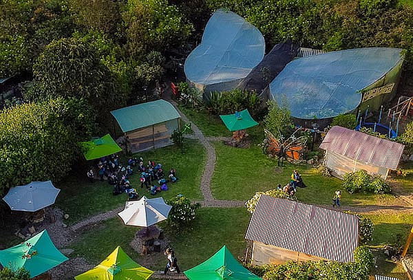 2 Entradas Bioparque Monarca Únete a la Maravillosa Aventura