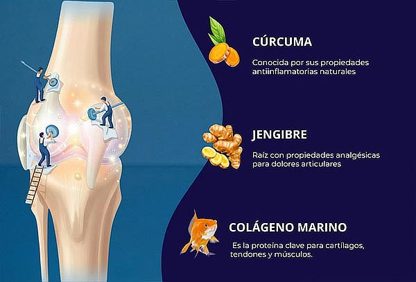 Colágeno Marino Hidrolizado para una Piel Radiante y Firme