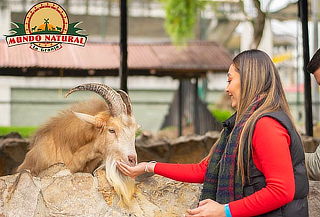 Plan Granja Interactiva + Caballo y Helado