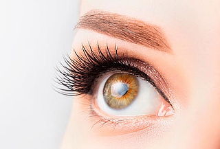 Cejas efecto Polvo + Retoque + Extension de pestaña