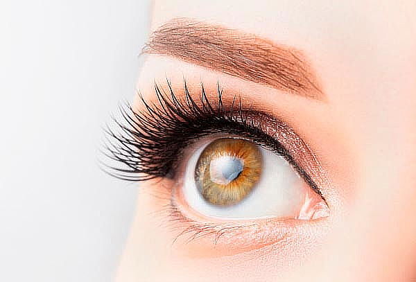 Cejas efecto Polvo + Retoque + Extension de pestaña