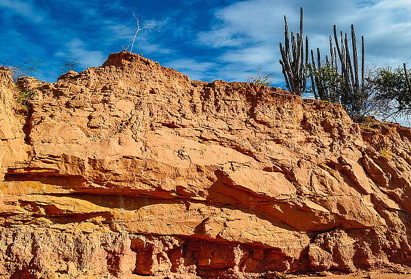 Pasadía Mina de Nemocón y Desierto de Tatacoita