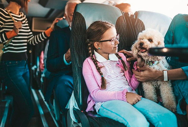 Certificado Perro de Servicio para Viajar + Cita Valoración 