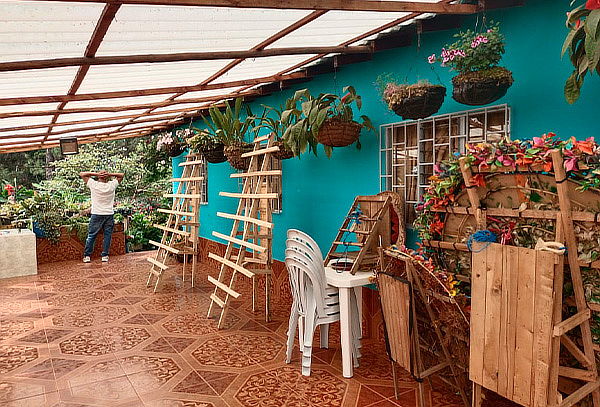 Tour Silletas y Flores: Trasporte + Almuerzo + Refrigerio