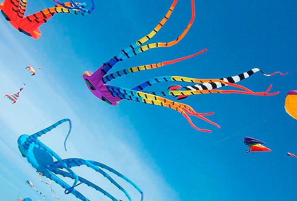 Festival de Cometas en Villa de Leyva + Finca Beraca