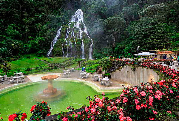 Pasadía 3 en 1: Valle del Cocora, Salento y Termales 