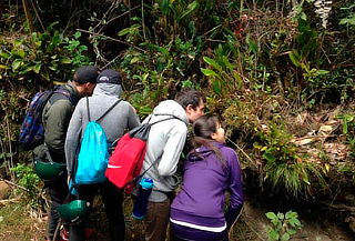 2x1 - Caminata por la Calera y avistamiento de Orquídeas 