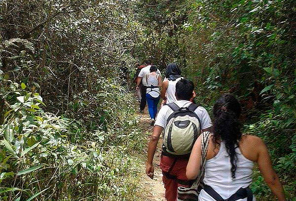 2x1 - Caminata por la Calera y avistamiento de Orquídeas 