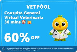 Consulta General Veterinaria Virtual de 30 Minutos
