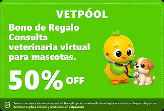 Bono de Regalo: Consulta Veterinaria Virtual