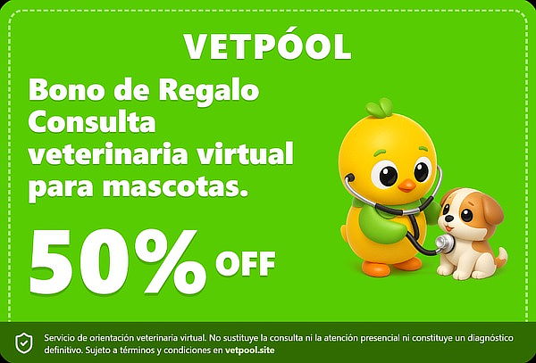 Bono de Regalo: Consulta Veterinaria Virtual