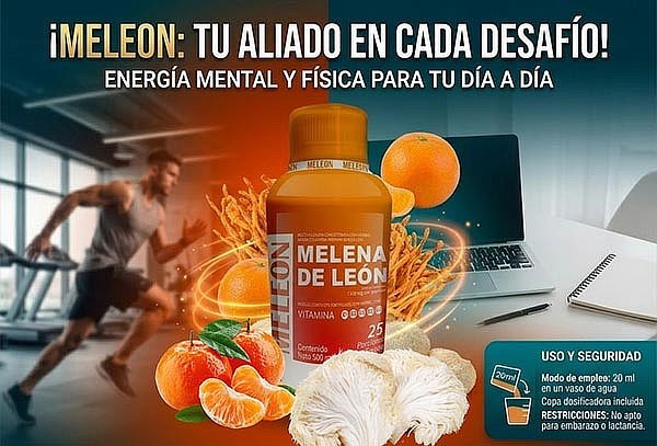 Bebida Liquida Melena de León por 500 ml Mejora Memoria
