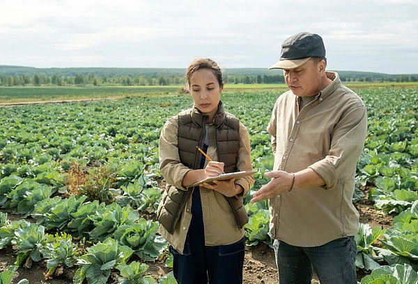 Curso Plan de Manejo de Cultivos 