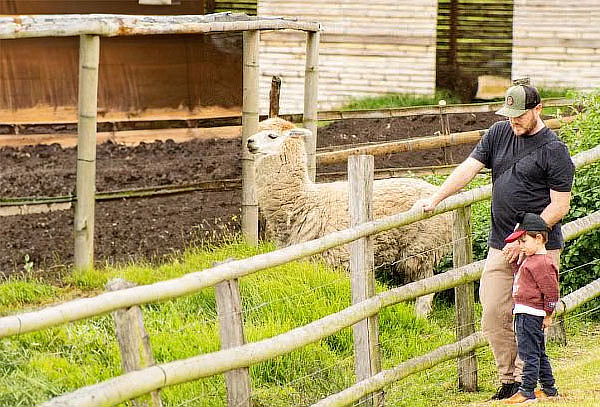 Entrada Granja + Alimentación + Vuelta a Caballo