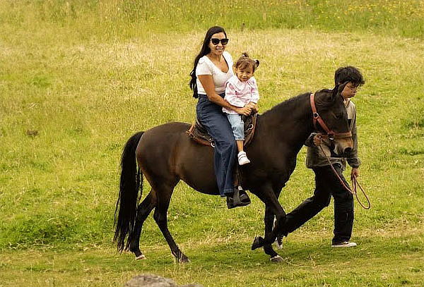 Entrada Granja + Alimentación + Vuelta a Caballo