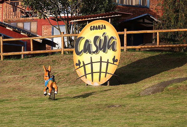 Entrada Granja + Alimentación + Vuelta a Caballo