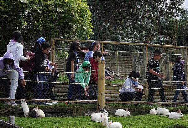 Entrada Granja + Alimentación + Vuelta a Caballo