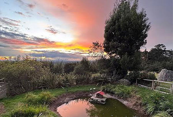 Entrada Granja + Alimentación + Vuelta a Caballo