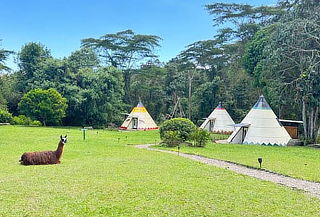 1 Noche Alojamiento en Ecohotel Tipi + Desayuno - La Mesa