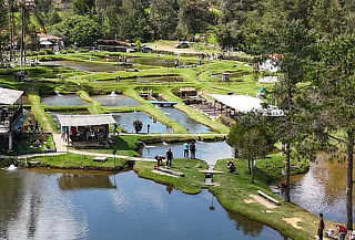 Plan para 2: Día de Pesca en Truchera + Almuerzo + Mini Golf