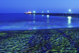 Guajira Exotica