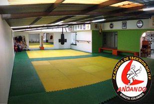 Clases de Taekwondo