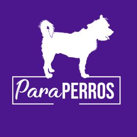 Imagen logotipo